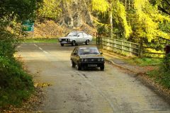 2025_Autumn_Leaves_-346