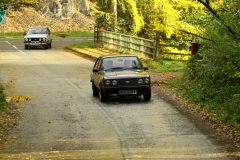 2025_Autumn_Leaves_-347