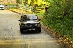 2025_Autumn_Leaves_-348