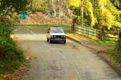 2025_Autumn_Leaves_-349