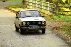 2025_Autumn_Leaves_-351