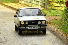 2025_Autumn_Leaves_-352