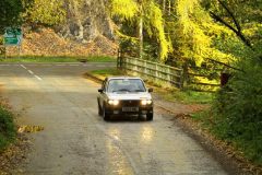 2025_Autumn_Leaves_-355