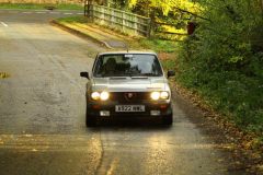 2025_Autumn_Leaves_-357