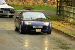 2025_Autumn_Leaves_-358