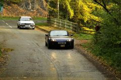 2025_Autumn_Leaves_-361