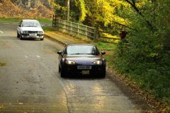 2025_Autumn_Leaves_-362