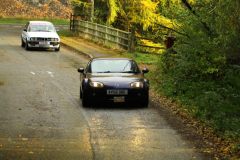 2025_Autumn_Leaves_-363