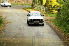 2025_Autumn_Leaves_-364