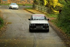 2025_Autumn_Leaves_-365