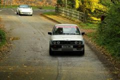 2025_Autumn_Leaves_-366