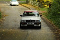 2025_Autumn_Leaves_-367