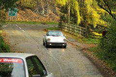 2025_Autumn_Leaves_-371