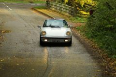 2025_Autumn_Leaves_-373