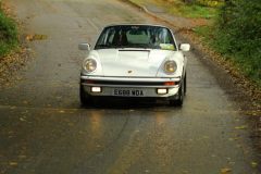 2025_Autumn_Leaves_-375