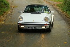 2025_Autumn_Leaves_-377