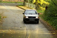 2025_Autumn_Leaves_-378