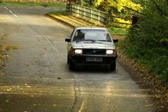 2025_Autumn_Leaves_-379