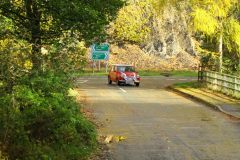 2025_Autumn_Leaves_-380