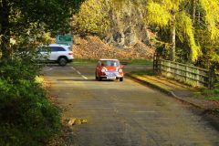 2025_Autumn_Leaves_-381