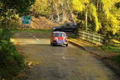 2025_Autumn_Leaves_-382