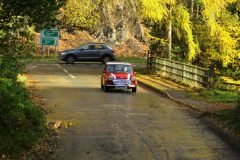 2025_Autumn_Leaves_-383