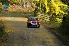 2025_Autumn_Leaves_-384