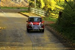 2025_Autumn_Leaves_-387