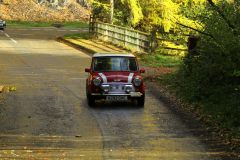 2025_Autumn_Leaves_-388