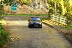 2025_Autumn_Leaves_-389