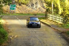 2025_Autumn_Leaves_-390