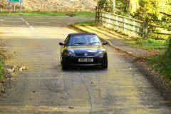 2025_Autumn_Leaves_-391