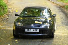 2025_Autumn_Leaves_-392