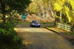 2025_Autumn_Leaves_-393