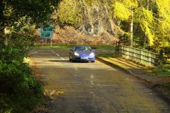 2025_Autumn_Leaves_-394