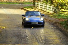 2025_Autumn_Leaves_-396