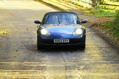 2025_Autumn_Leaves_-397