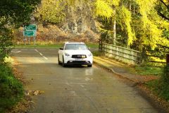 2025_Autumn_Leaves_-398