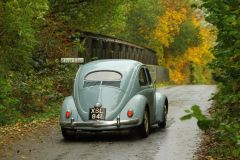 2025_Autumn_Leaves_-403