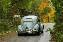 2025_Autumn_Leaves_-404