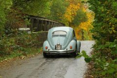 2025_Autumn_Leaves_-405