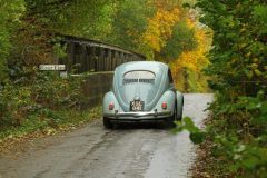 2025_Autumn_Leaves_-406