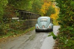 2025_Autumn_Leaves_-407