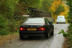 2025_Autumn_Leaves_-408