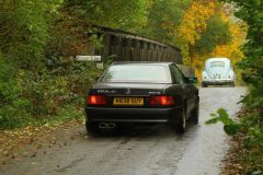 2025_Autumn_Leaves_-409