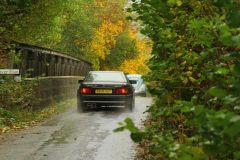 2025_Autumn_Leaves_-410