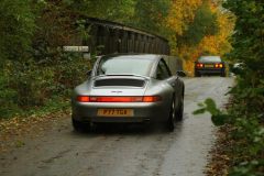 2025_Autumn_Leaves_-412