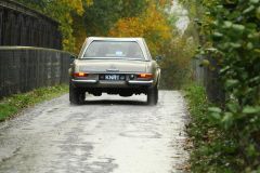 2025_Autumn_Leaves_-420