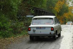 2025_Autumn_Leaves_-421