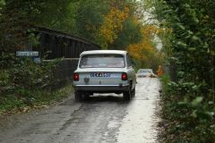 2025_Autumn_Leaves_-423